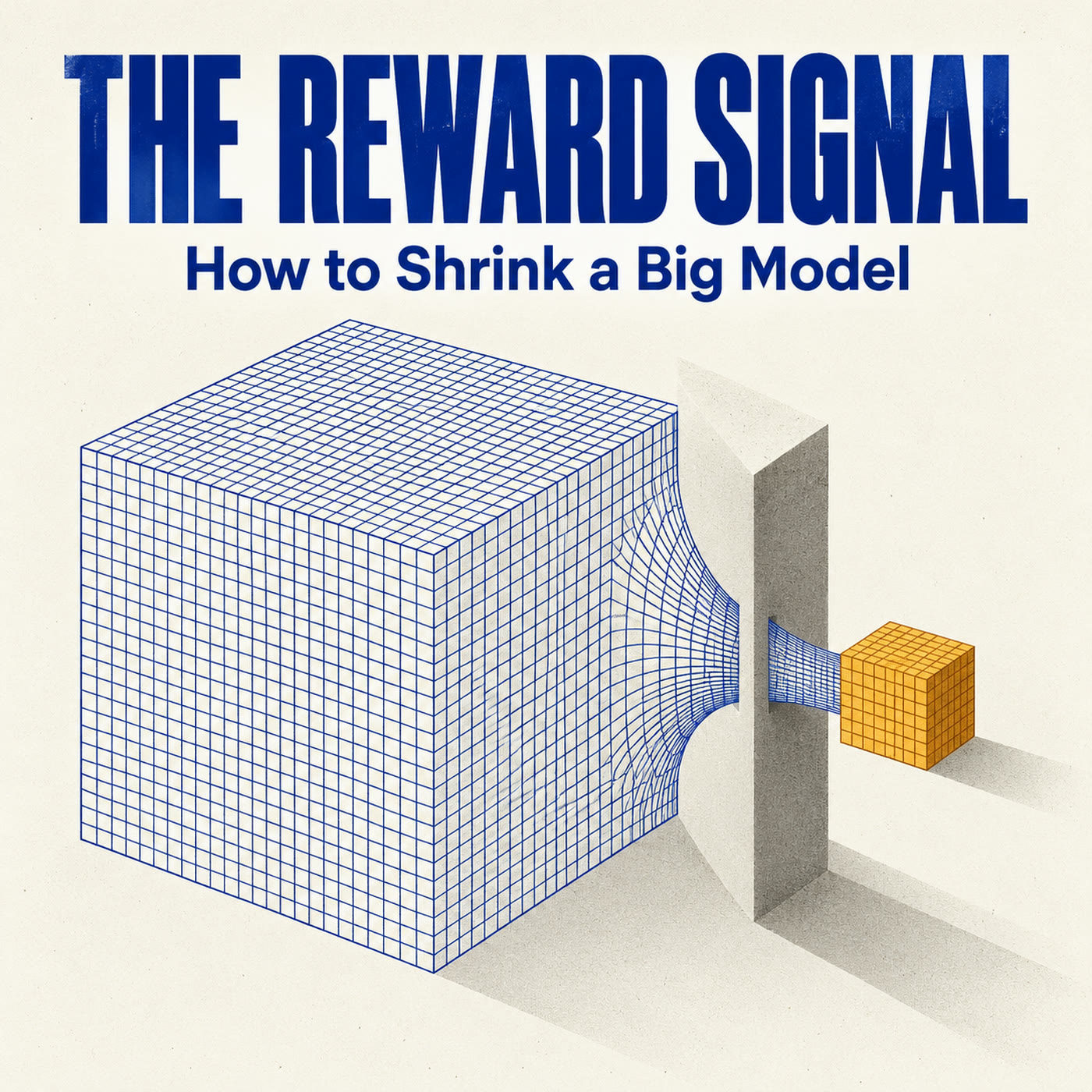 How to Shrink a Big Model cover art